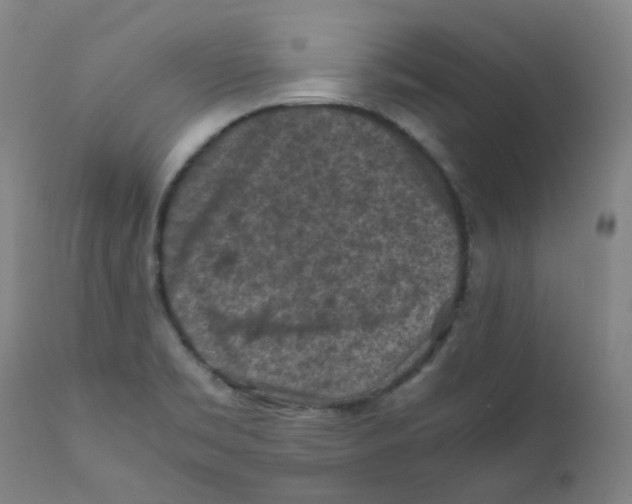 X0000112171469200909041138