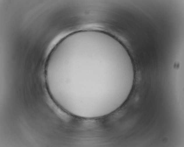 X0000112171470200909041138