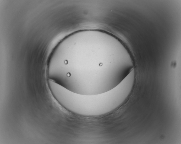 X0000112171472200909041138