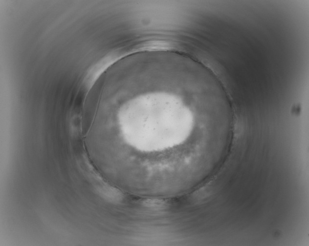 X0000112171473200909041138