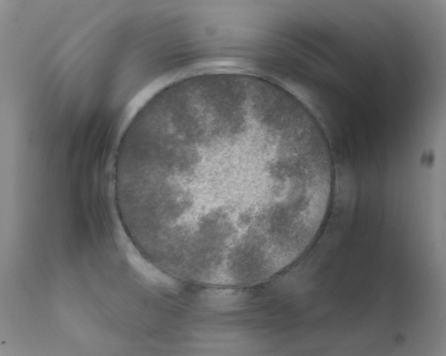 X0000112171474200909041138