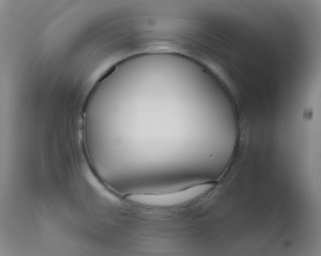 X0000112171476200909041138