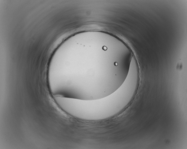 X0000112171477200909041138