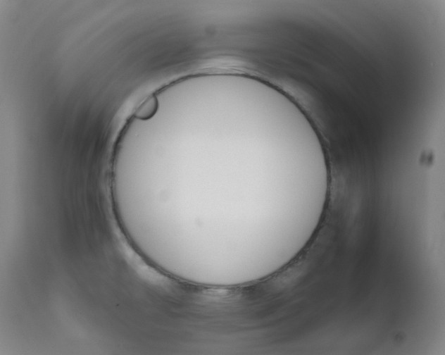 X0000112171478200909041138