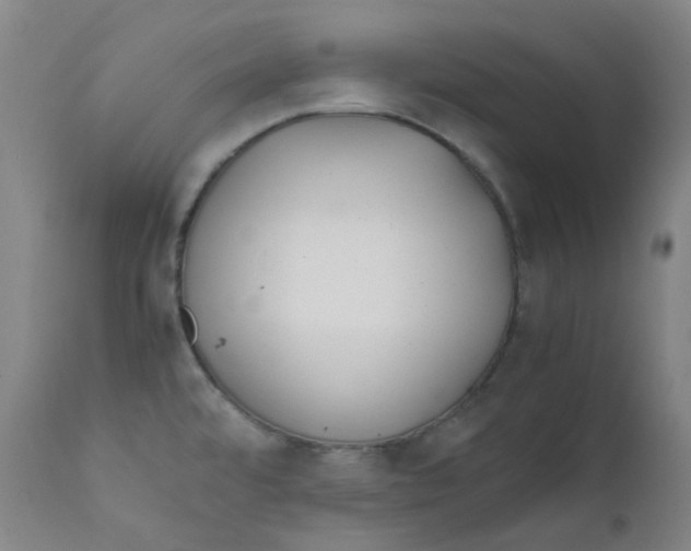 X0000112171480200909041138