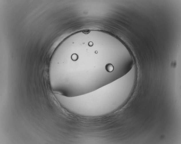 X0000112171481200909041138