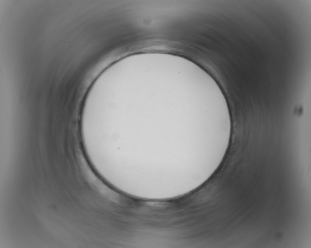 X0000112171483200909041138