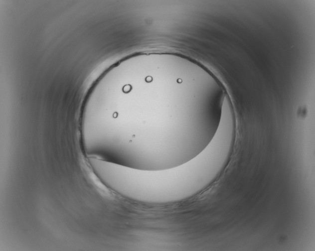 X0000112171485200909041138