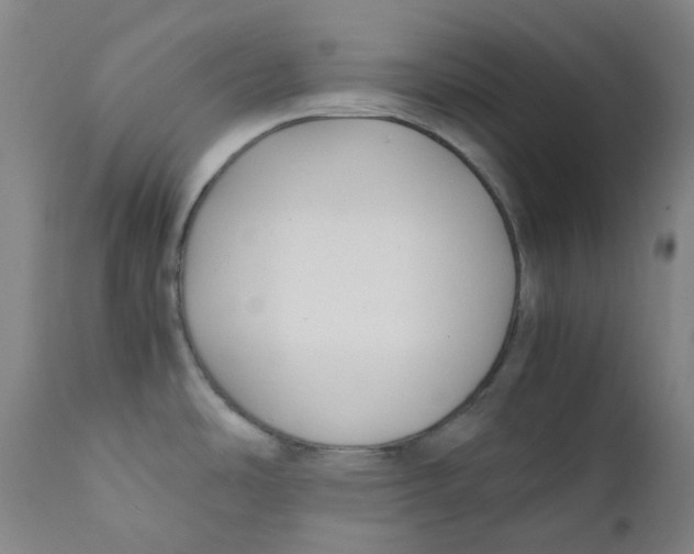 X0000112171486200909041138