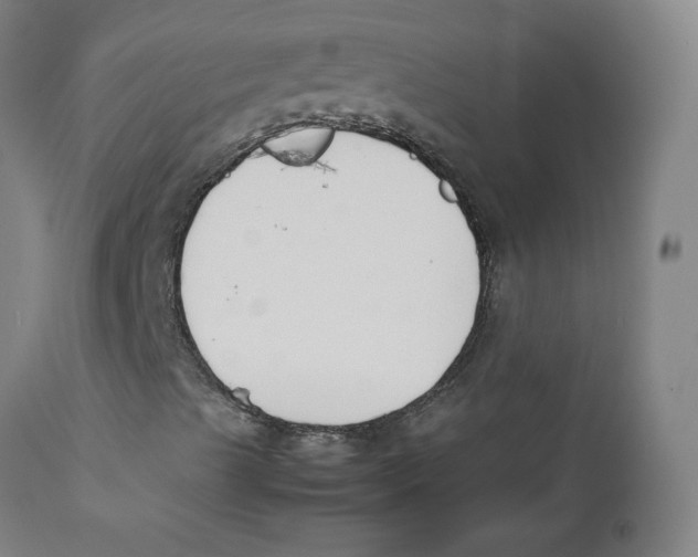 X0000112171489200909041137