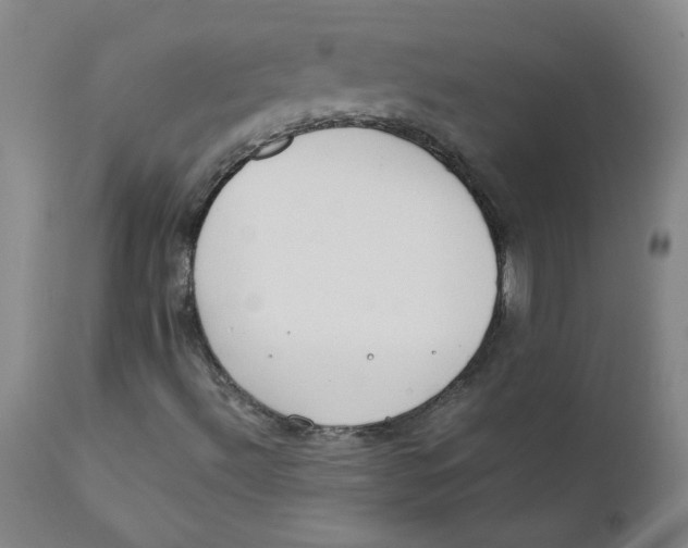 X0000112171492200909041137