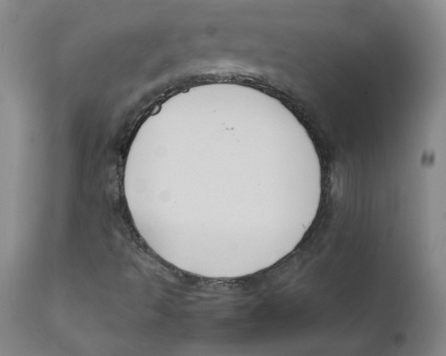 X0000112171493200909041137