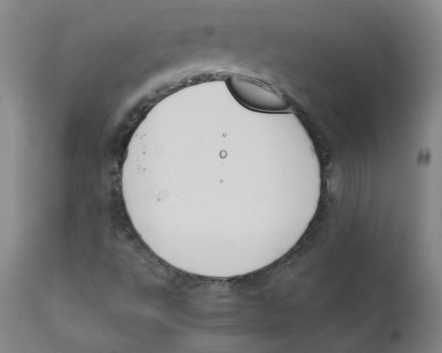 X0000112171495200909041137