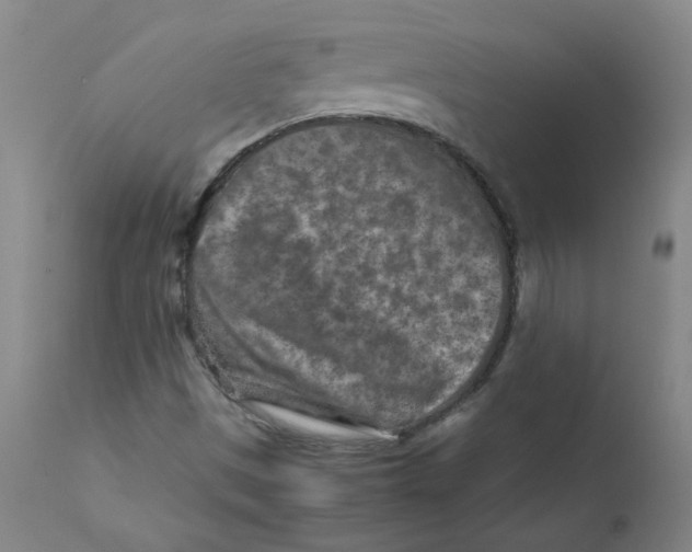 X0000112171497200909041138