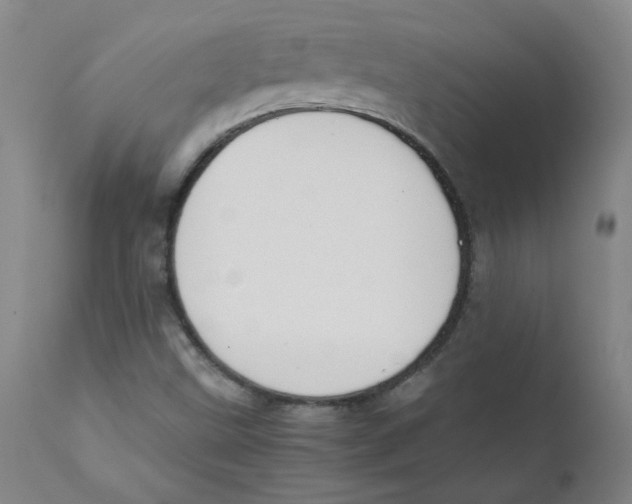 X0000112171499200909041138