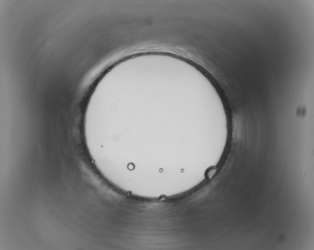 X0000112171502200909041138