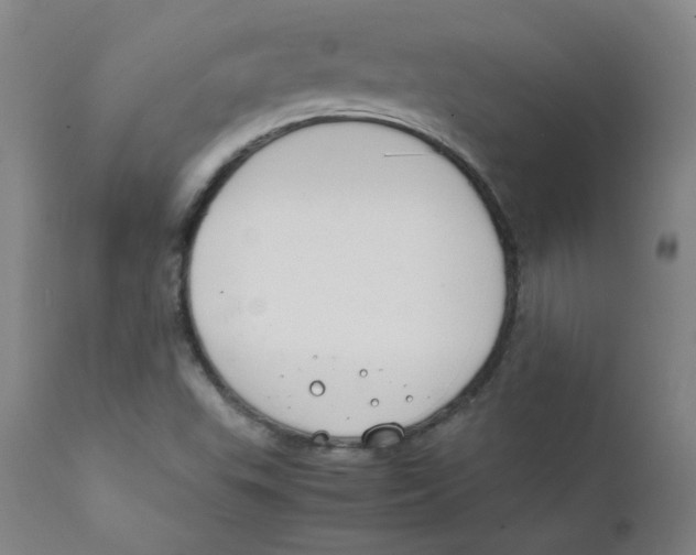 X0000112171503200909041138