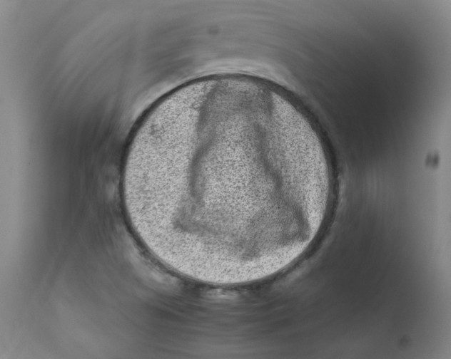 X0000112171505200909041138