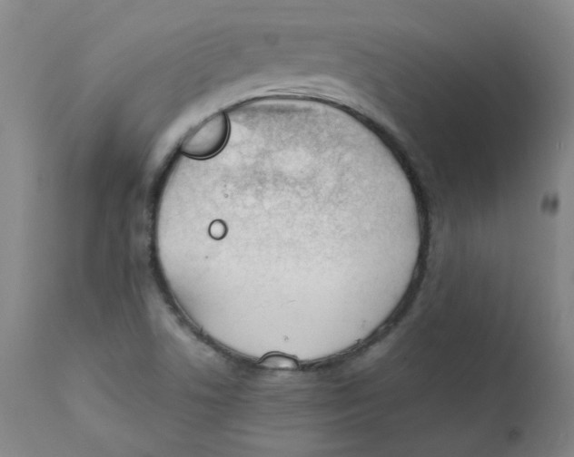 X0000112171506200909041138