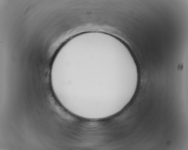 X0000112171507200909041138