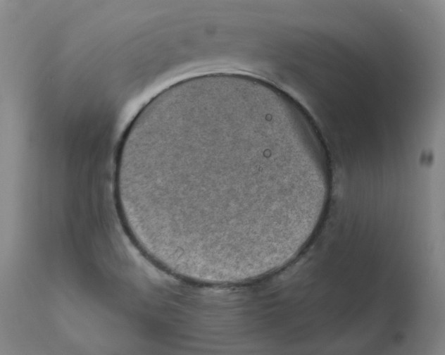 X0000112171508200909041138