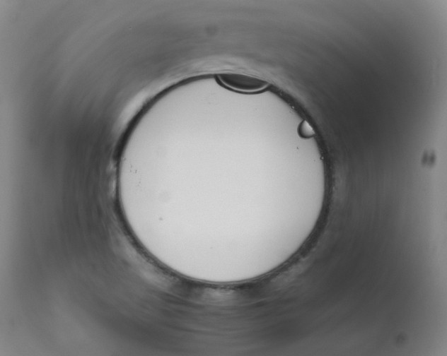 X0000112171509200909041138