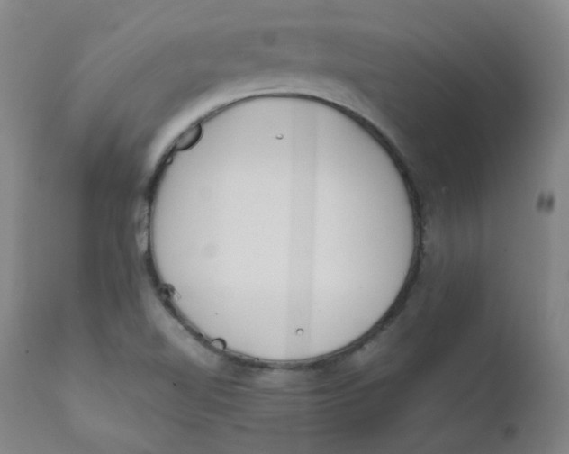 X0000112171510200909041138