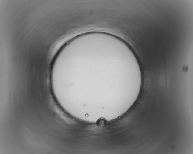 X0000112171511200909041138