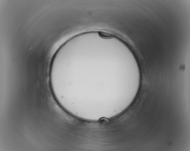 X0000112171512200909041138