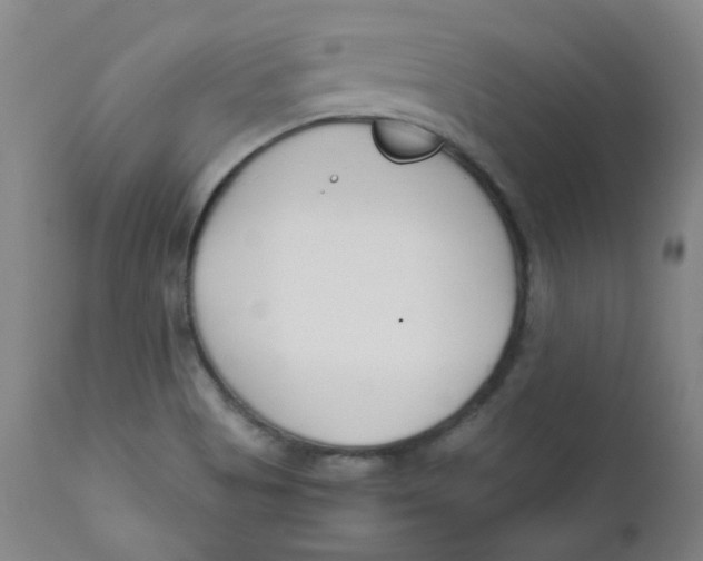 X0000112171513200909041138