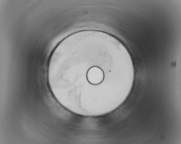 X0000112171514200909041138