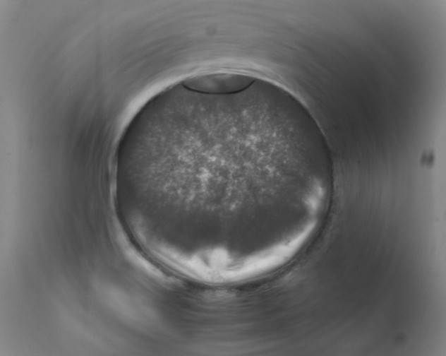 X0000112171515200909041138