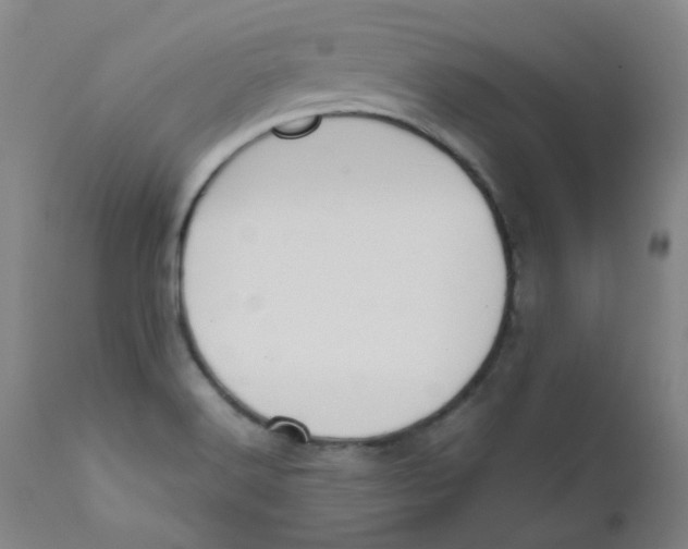 X0000112171516200909041138