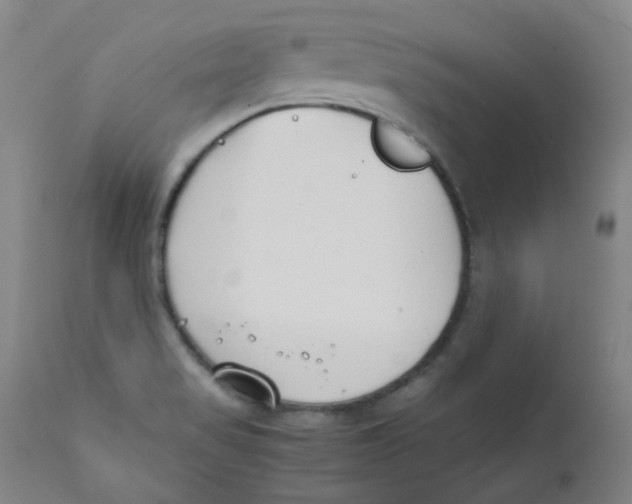 X0000112171517200909041138