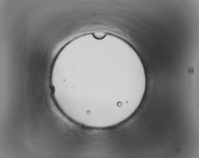 X0000112171518200909041138