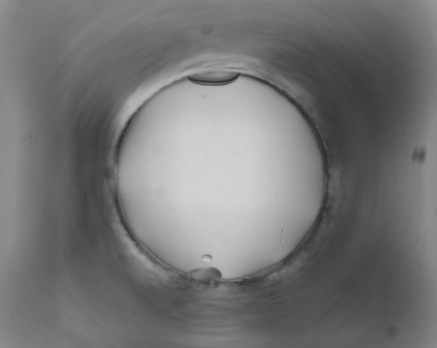 X0000112171520200909041138