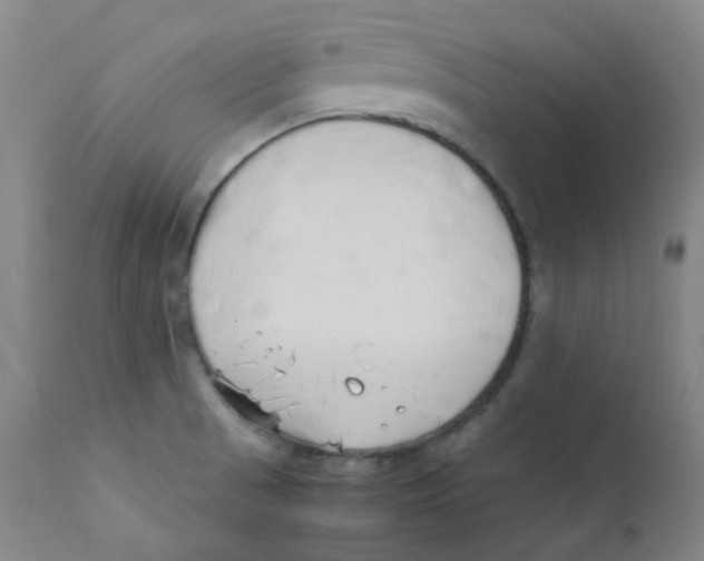 X0000112171521200909041138