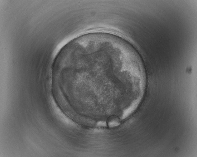 X0000112171522200909041138