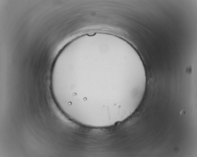 X0000112171523200909041138