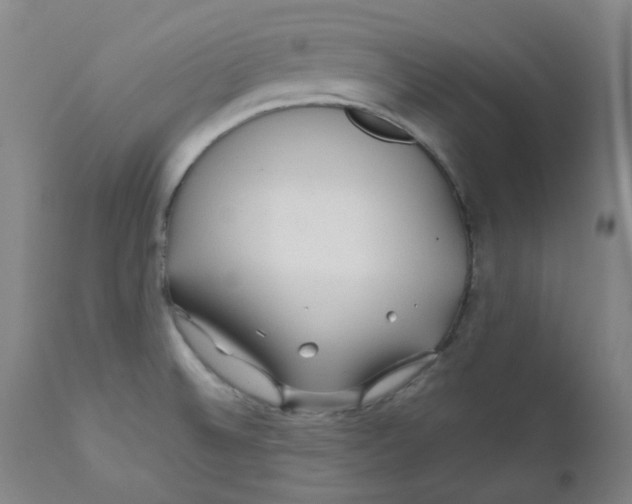 X0000112171524200909041138