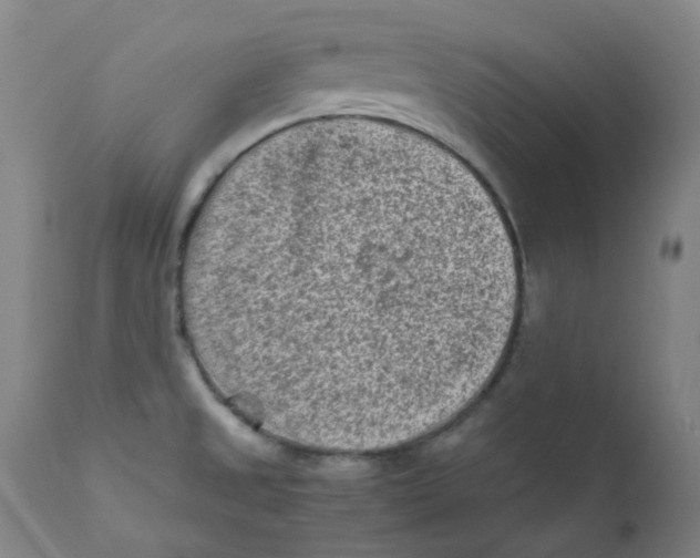 X0000112171525200909041138