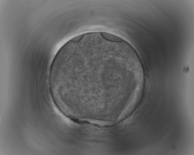 X0000112171527200909041138