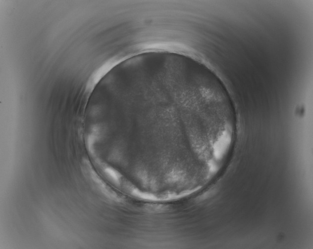 X0000112171529200909041138