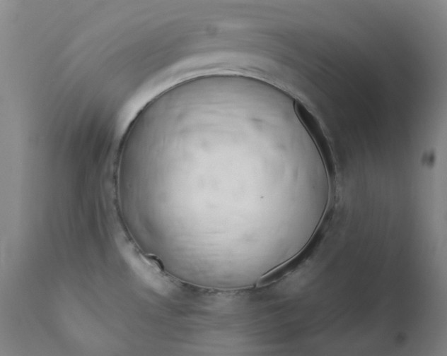 X0000112171530200909041138