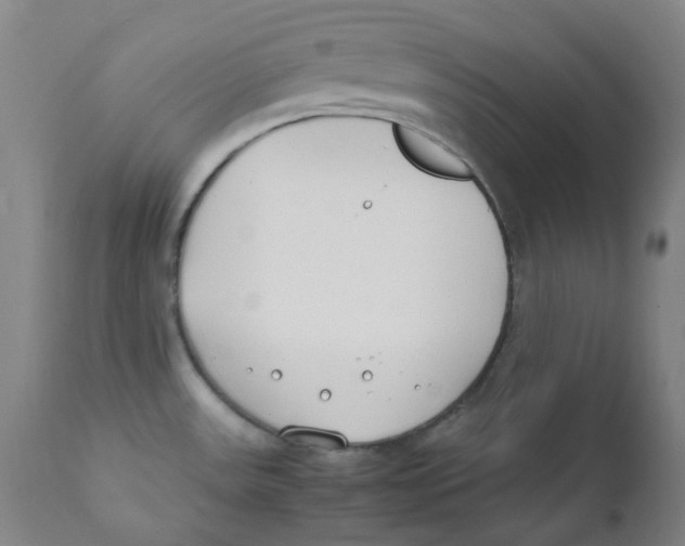 X0000112171531200909041138