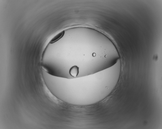 X0000112171532200909041138