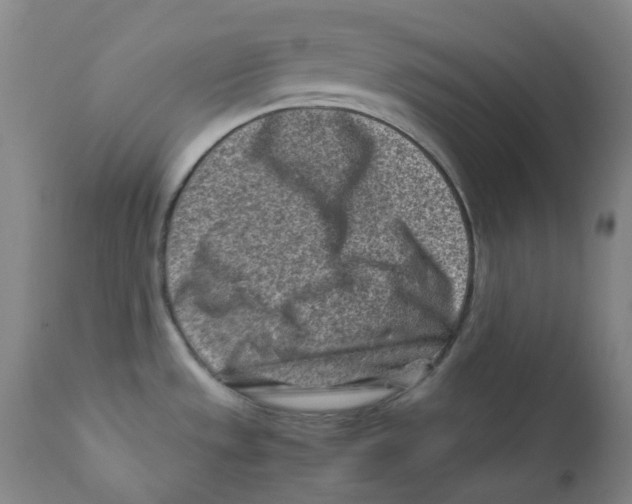 X0000112171533200909041138