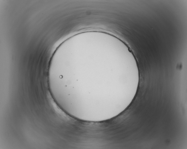 X0000112171534200909041138