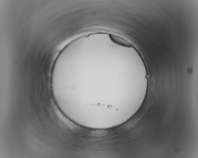 X0000112171535200909041138