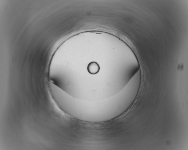 X0000112171536200909041138